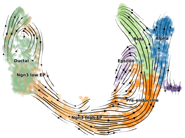 ../../_images/notebooks_notebooks_Pancreas_11_0.png