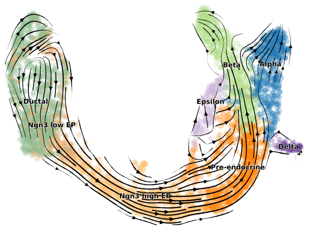 ../../_images/notebooks_notebooks_Pancreas_20_0.png