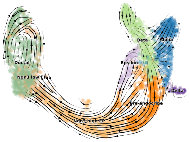 ../../_images/notebooks_notebooks_Pancreas_13_0.png