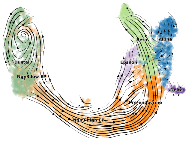 ../../_images/notebooks_notebooks_Pancreas_15_0.png
