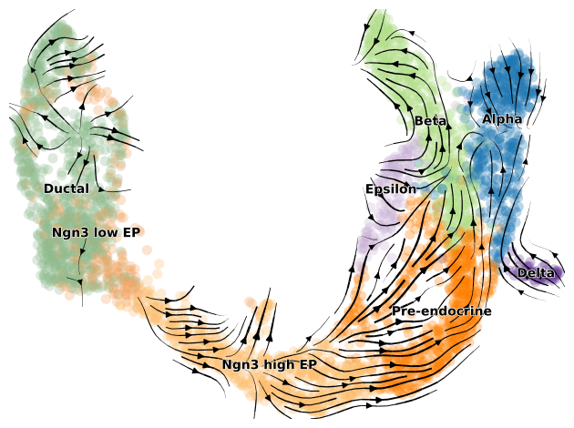 ../../_images/notebooks_notebooks_Pancreas_17_3.png