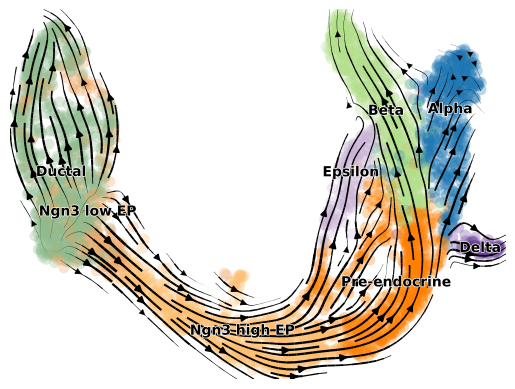 ../../_images/notebooks_notebooks_Pancreas_7_11.png