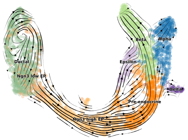 ../../_images/notebooks_notebooks_Pancreas_9_1.png